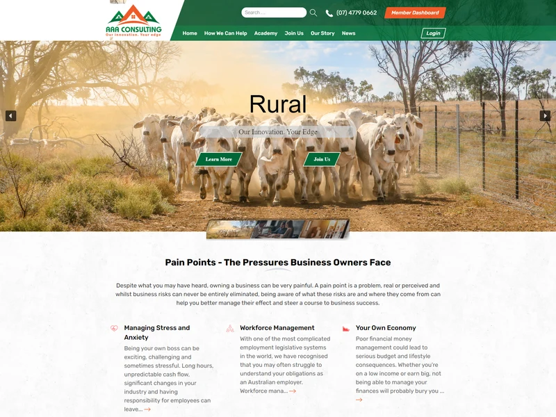 AAA Consulting homepage design