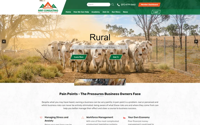AAA Consulting homepage design