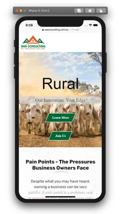 AAA Consulting mobile design