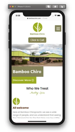 Bamboo Chiro mobile design