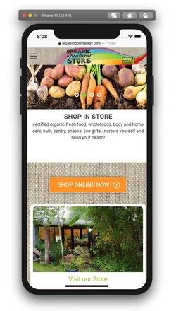 Organic & Natural Store mobile design