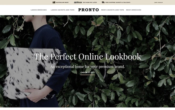 Pronto Equestrian homepage design