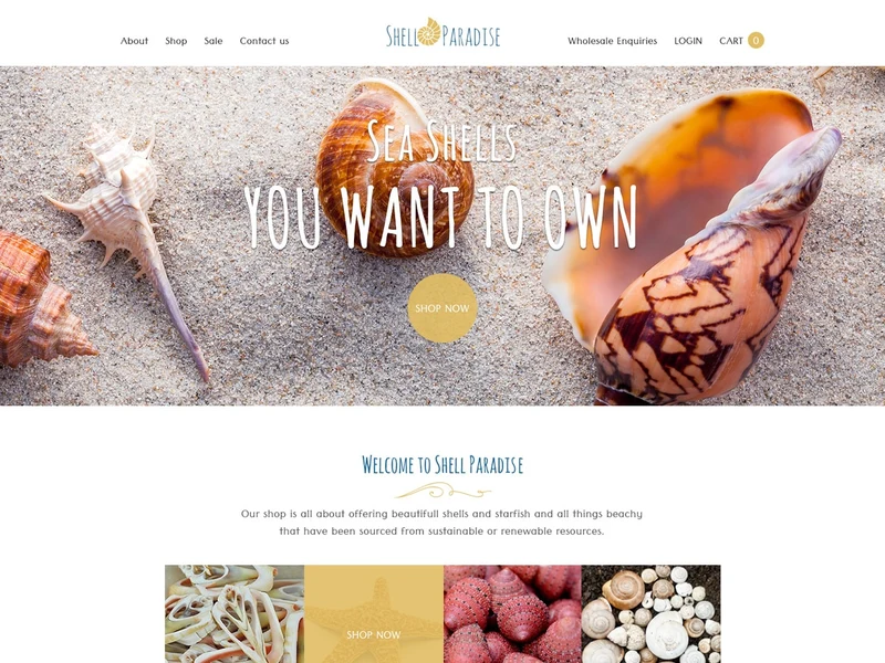 Shell Paradise homepage design
